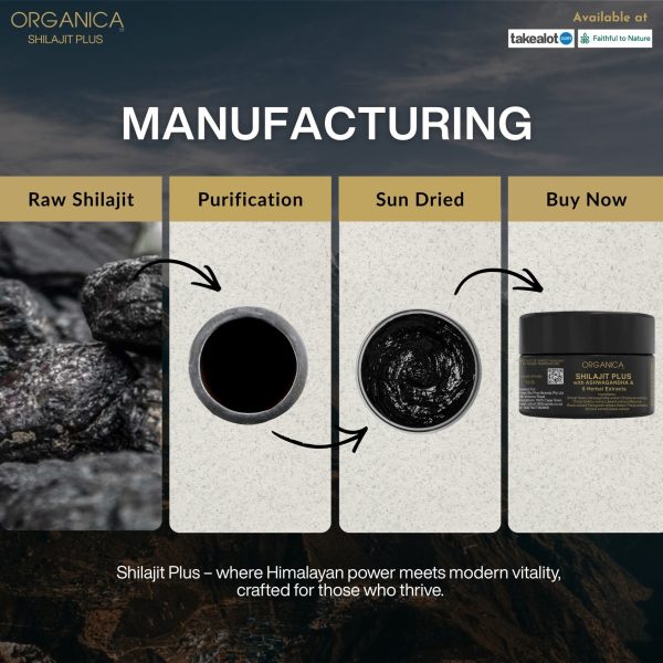 Organica Shilajit Plus