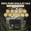 Organica 100% Pure Shilajit